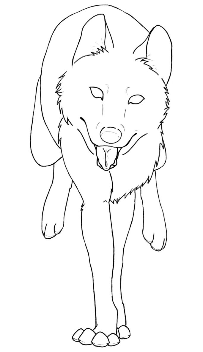 wolf coloring pages for adults printable jpg