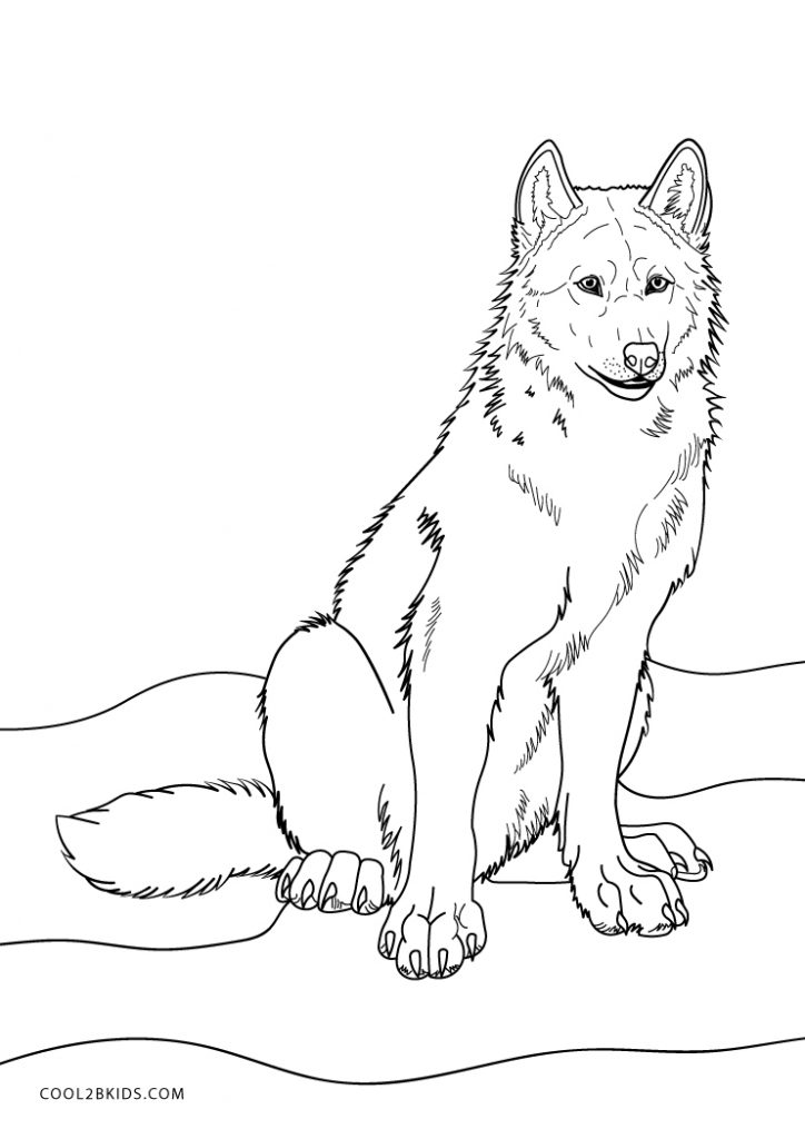 125 Wolf Coloring Pages for Adults Printable 9