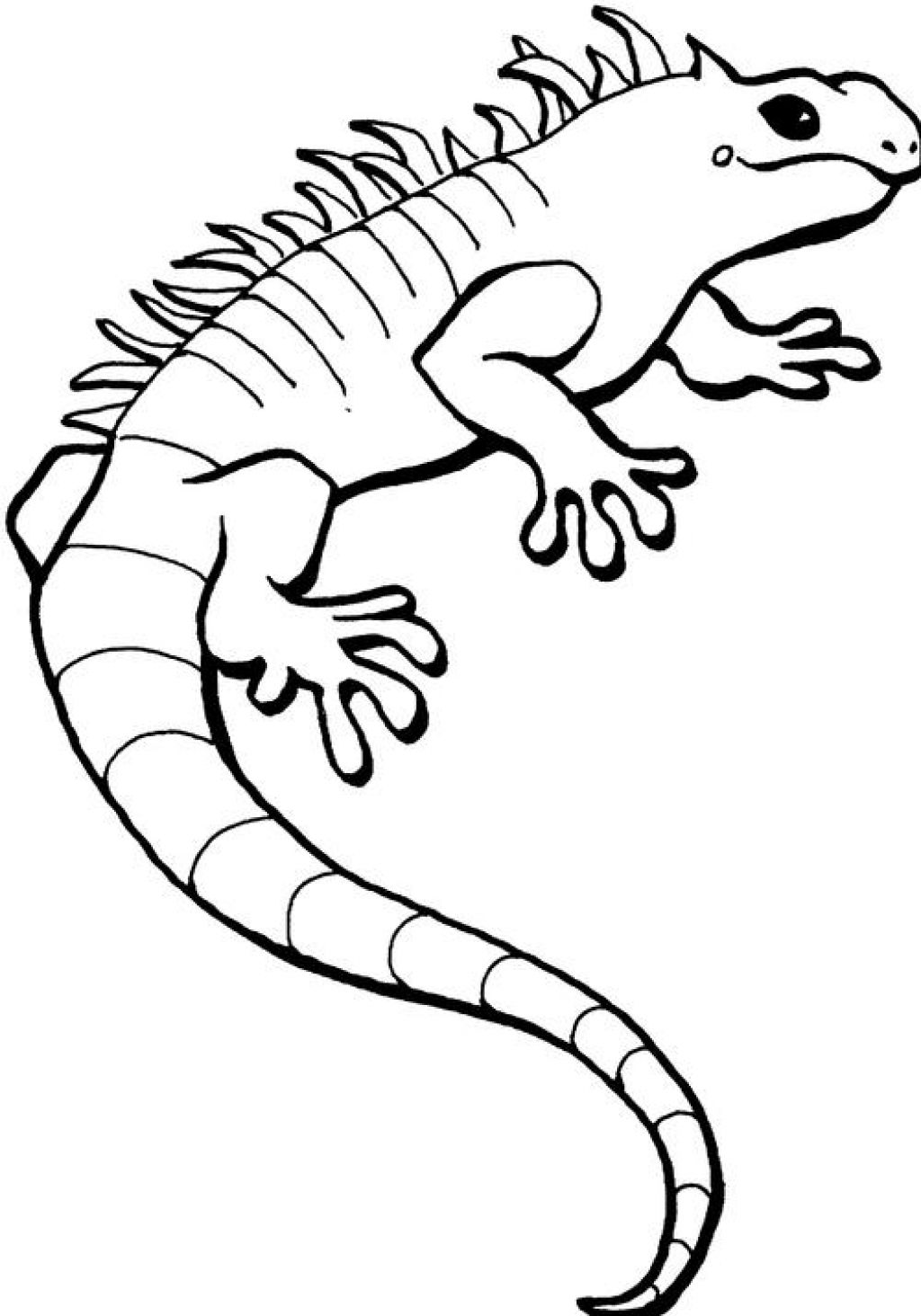 127 Free Printable Iguana Coloring Pages for Kids 1