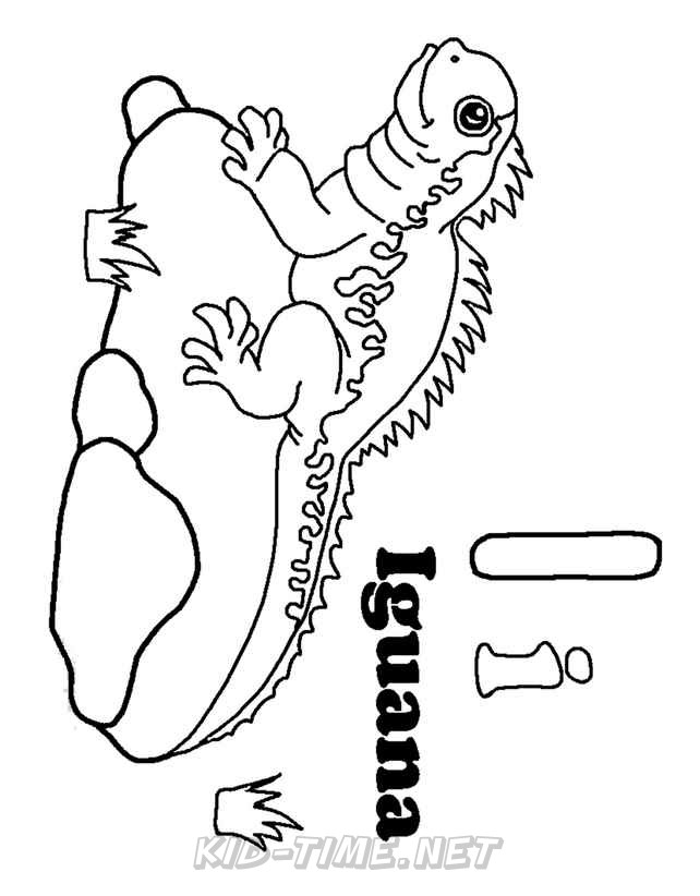 free printable iguana coloring pages for kids jpg