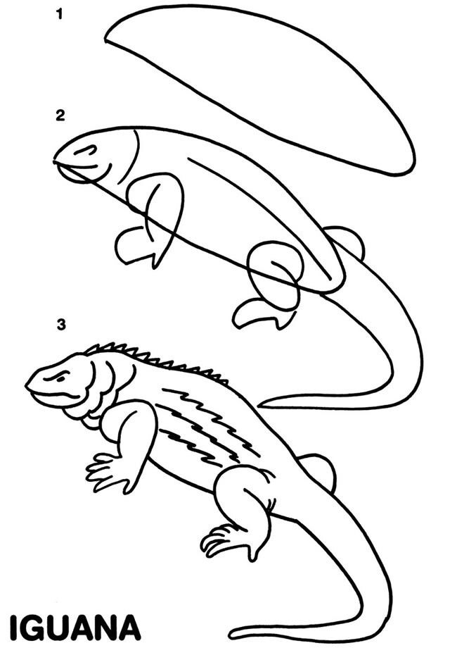 127 Free Printable Iguana Coloring Pages for Kids 111