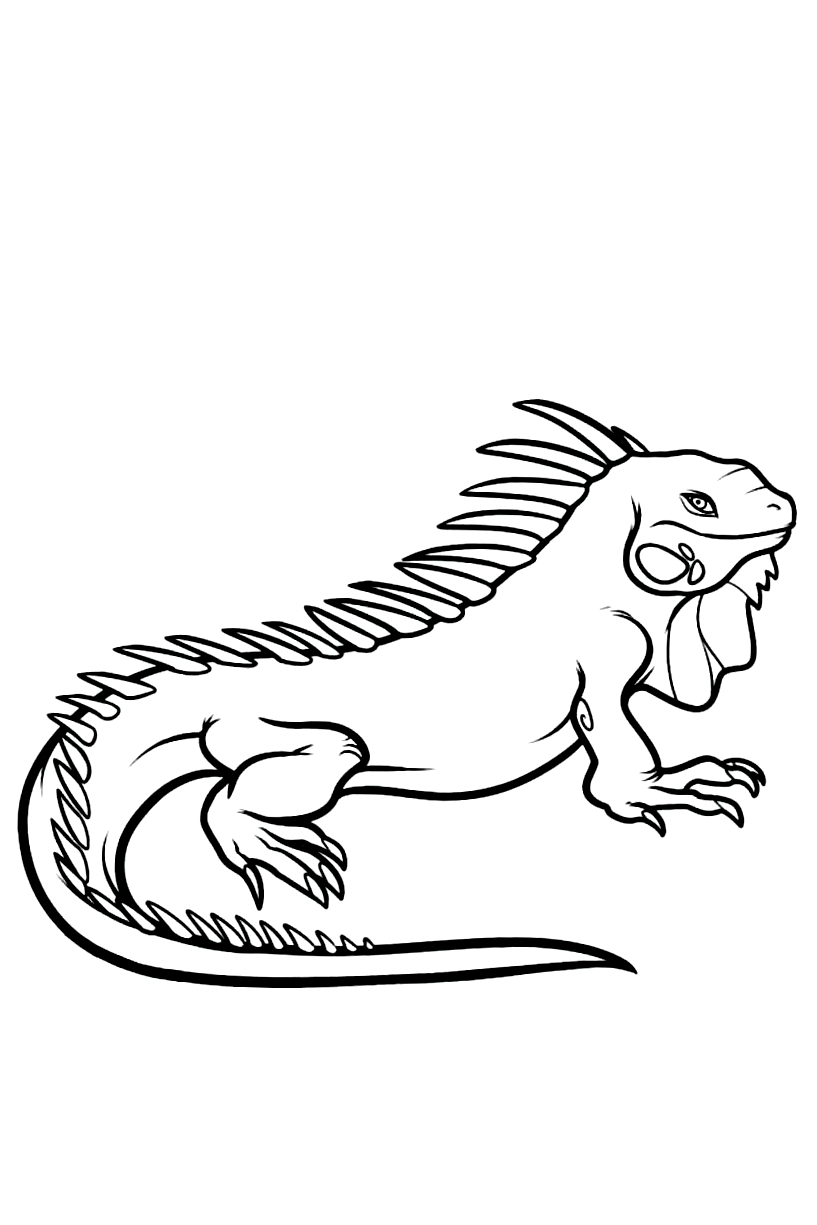 127 Free Printable Iguana Coloring Pages for Kids 114