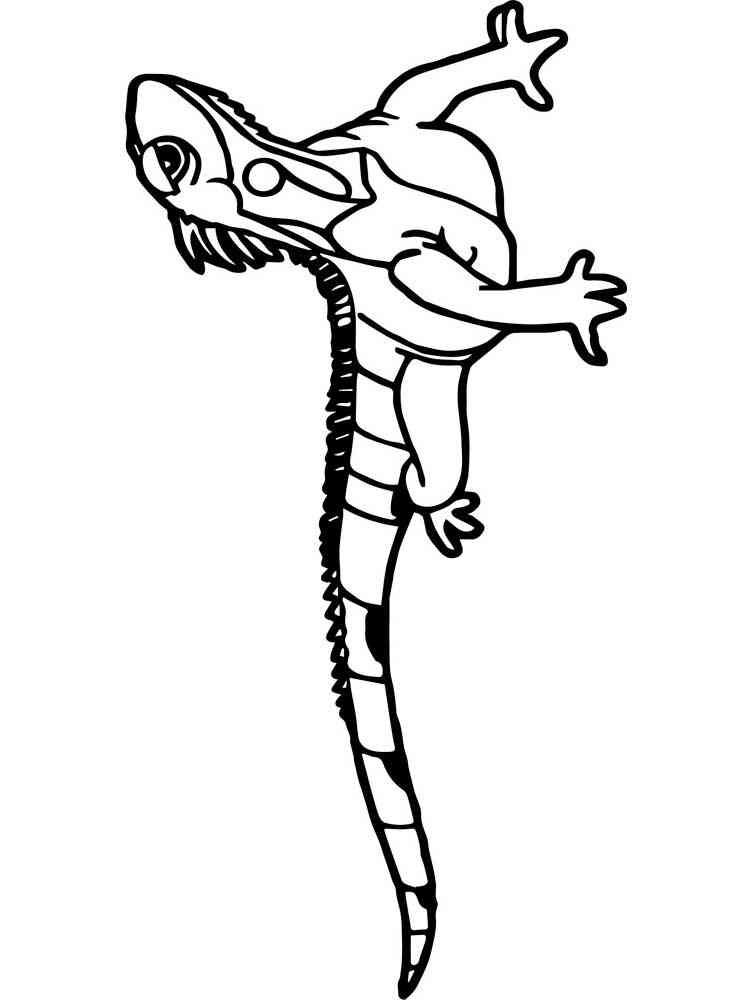 free printable iguana coloring pages for kids jpg