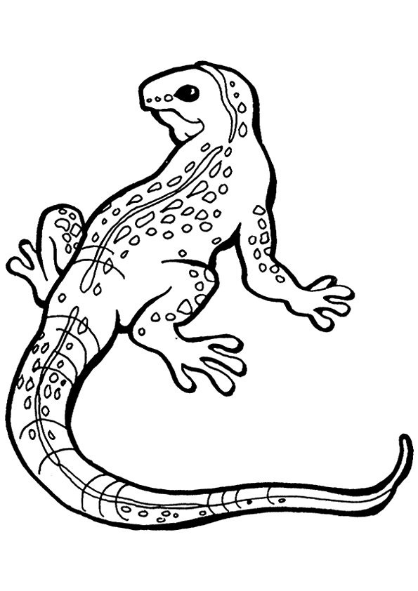 127 Free Printable Iguana Coloring Pages for Kids 2