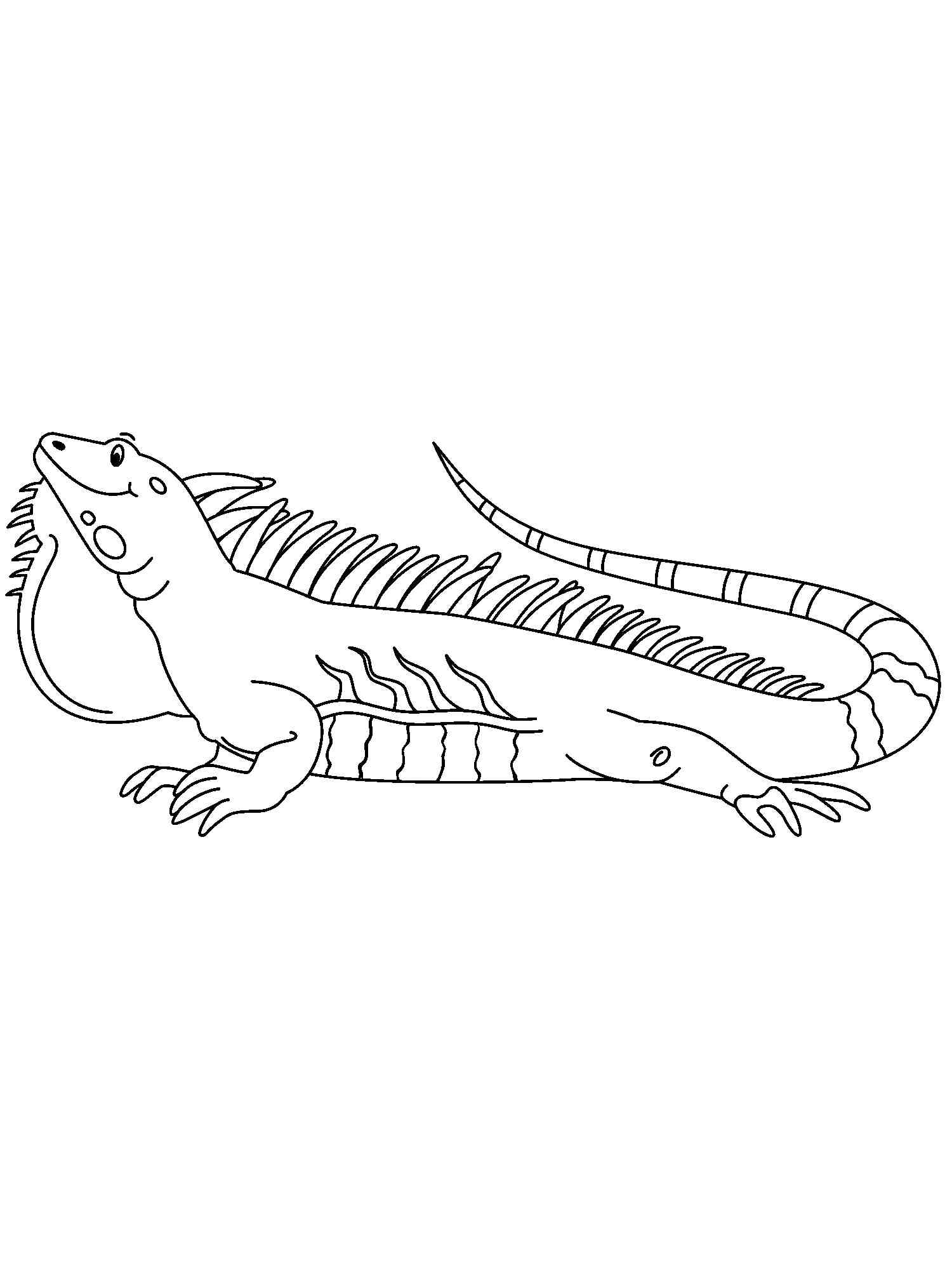 free printable iguana coloring pages for kids jpg