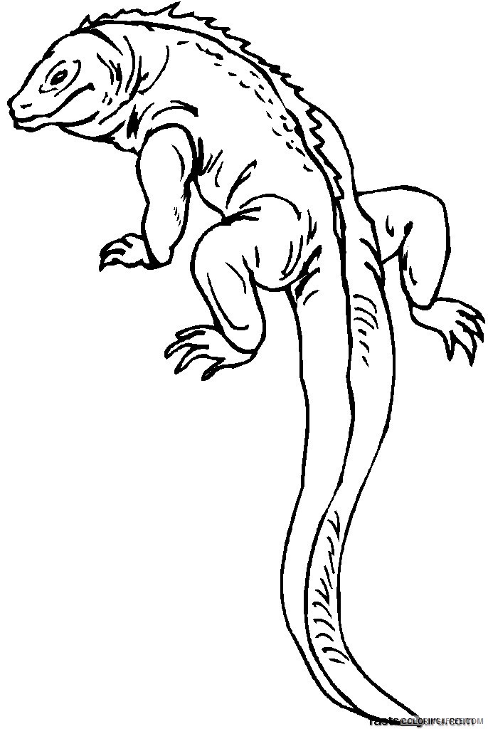 free printable iguana coloring pages for kids jpg