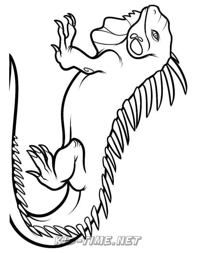 free printable iguana coloring pages for kids jpg