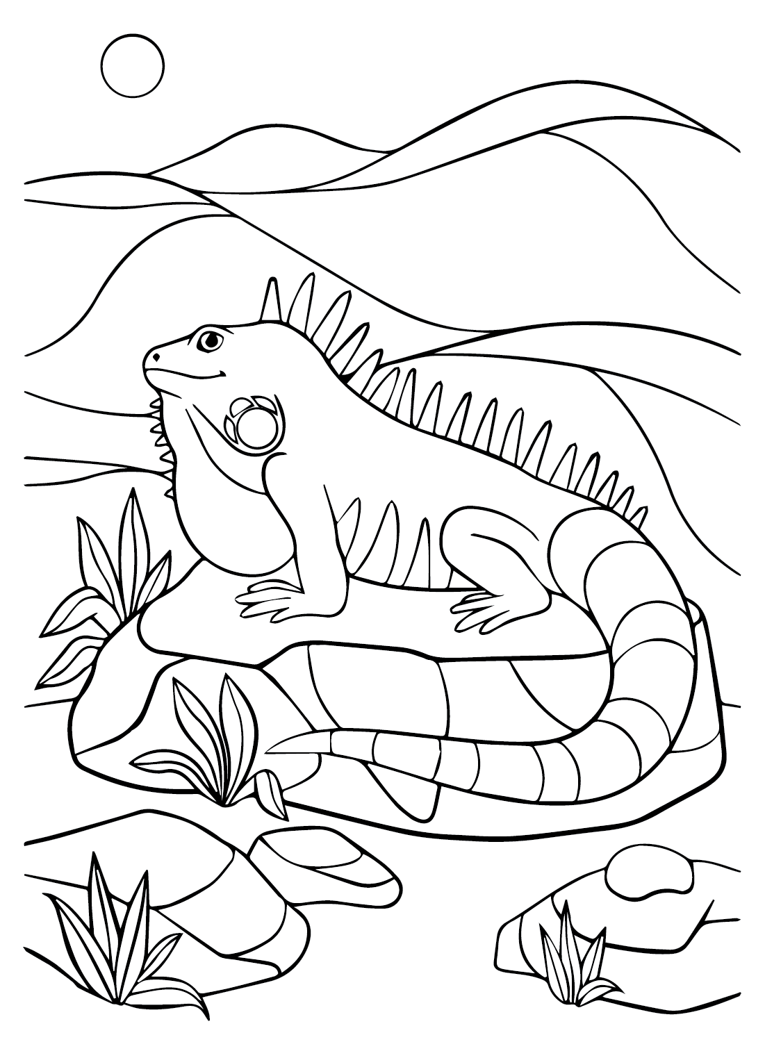 free printable iguana coloring pages for kids jpg