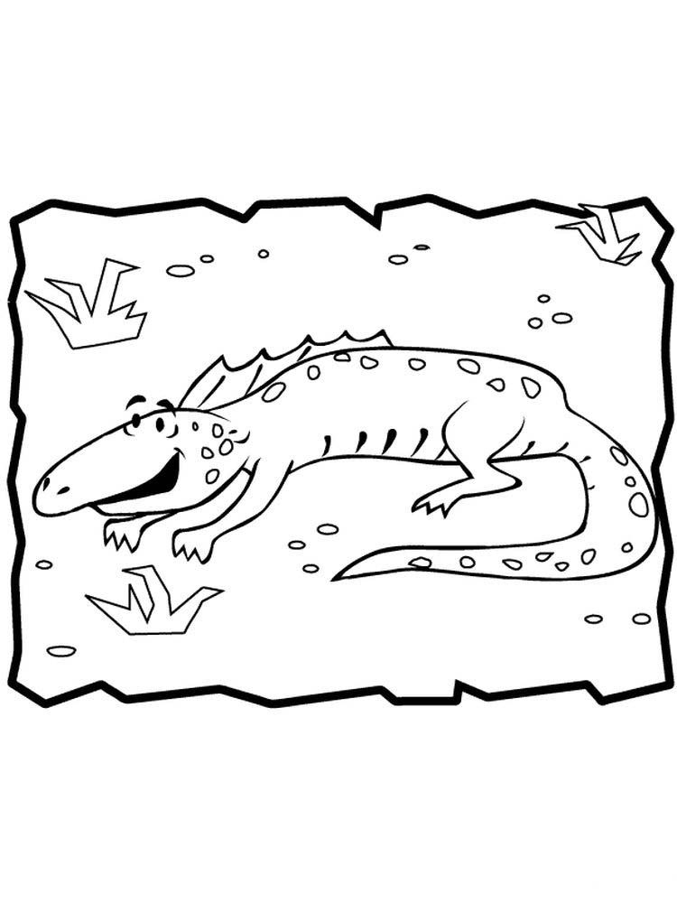 127 Free Printable Iguana Coloring Pages for Kids 41