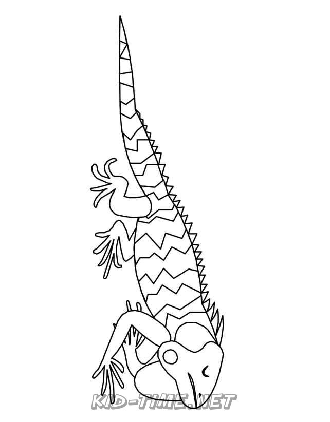 127 Free Printable Iguana Coloring Pages for Kids 45