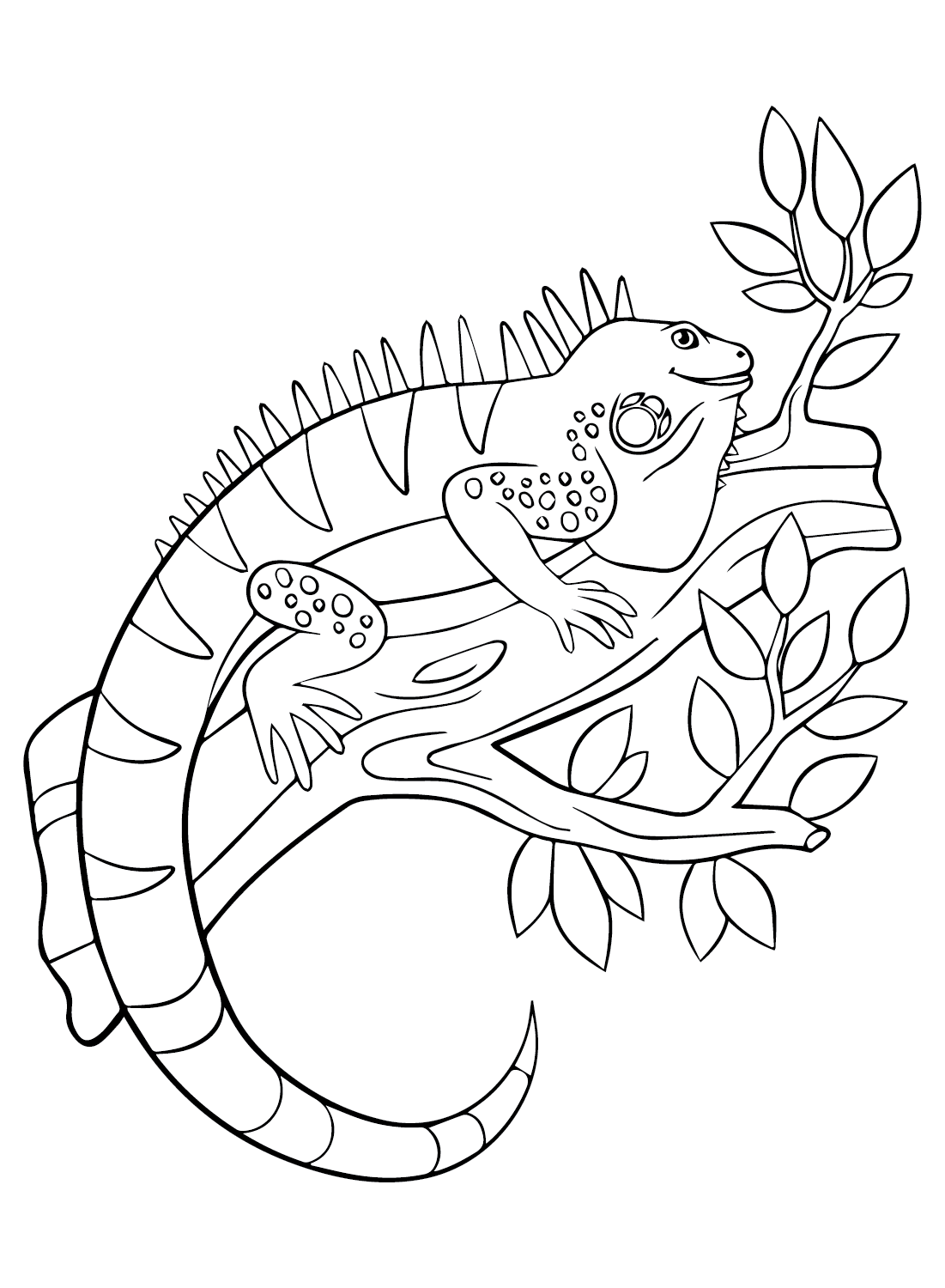 127 Free Printable Iguana Coloring Pages for Kids 46