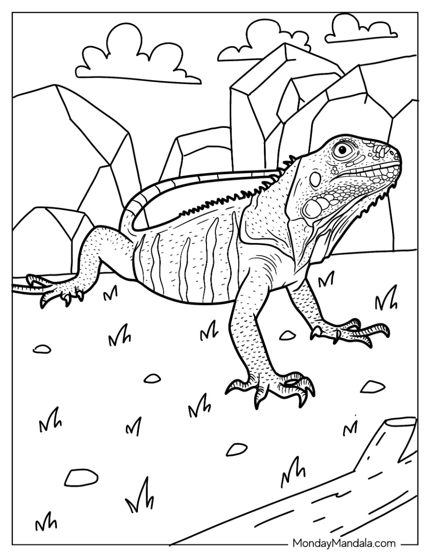 127 Free Printable Iguana Coloring Pages for Kids 50