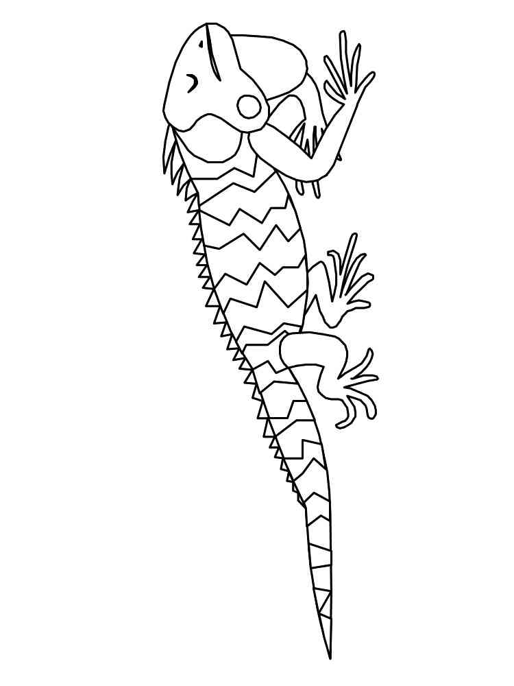 127 Free Printable Iguana Coloring Pages for Kids 51