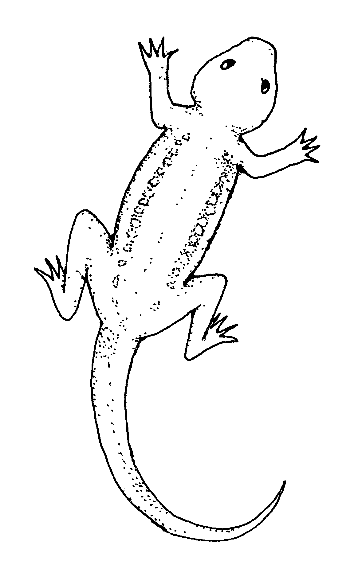 127 Free Printable Iguana Coloring Pages for Kids 55