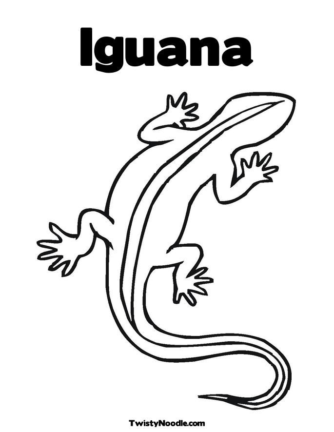 free printable iguana coloring pages for kids jpg