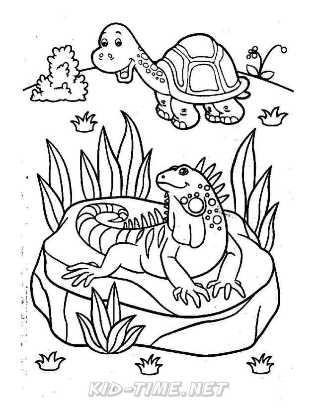 127 Free Printable Iguana Coloring Pages for Kids 6