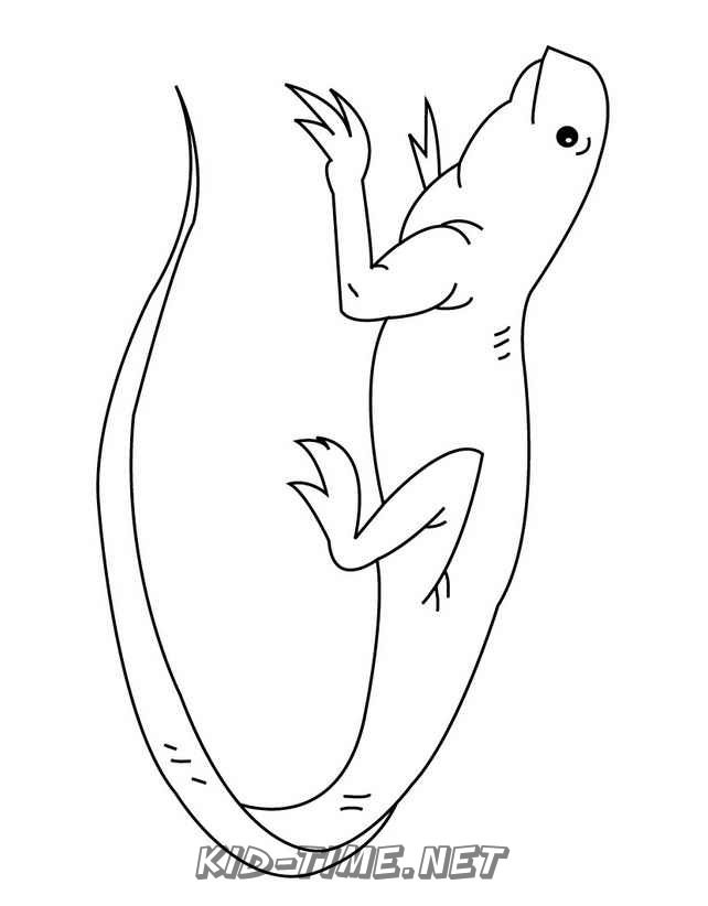 free printable iguana coloring pages for kids jpg