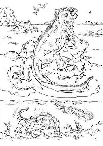 free printable iguana coloring pages for kids jpg