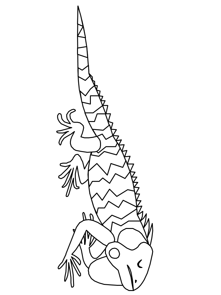 free printable iguana coloring pages for kids jpg