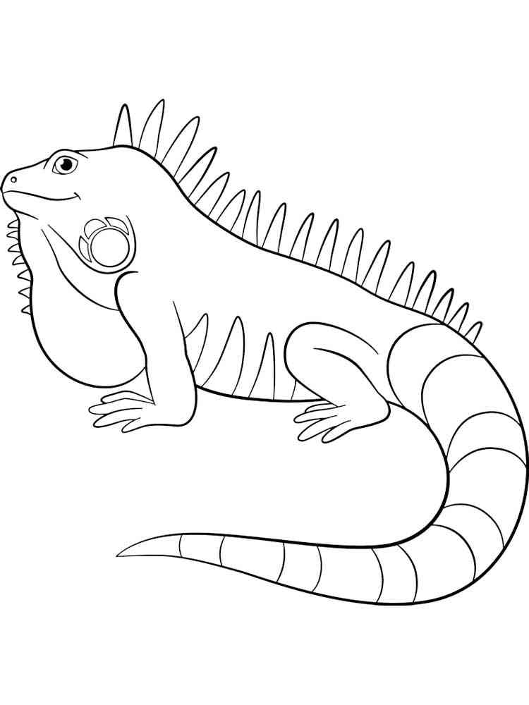 127 Free Printable Iguana Coloring Pages for Kids 76