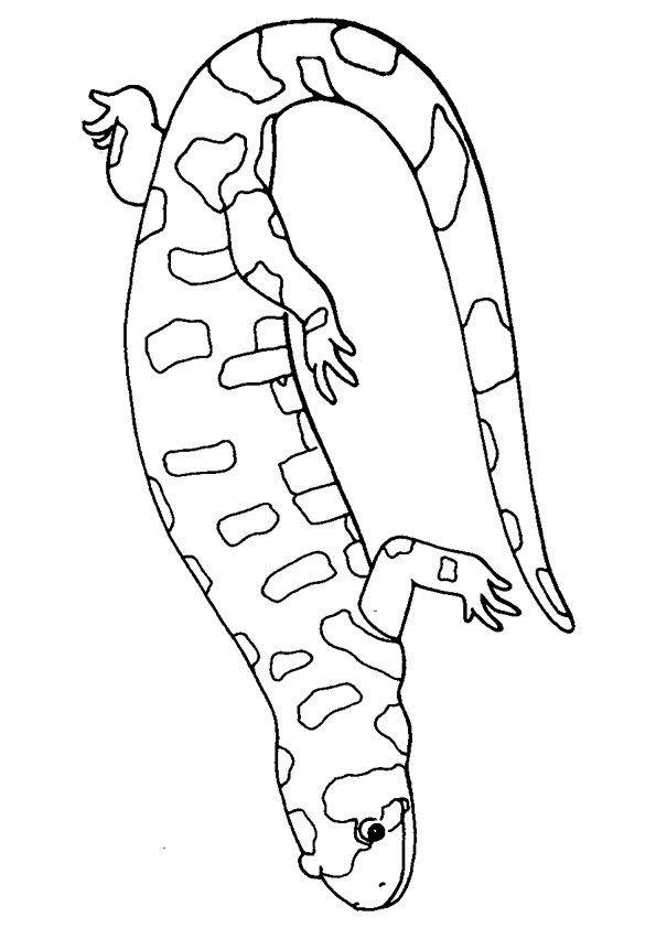 free printable iguana coloring pages for kids jpg