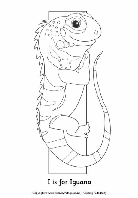 free printable iguana coloring pages for kids jpg