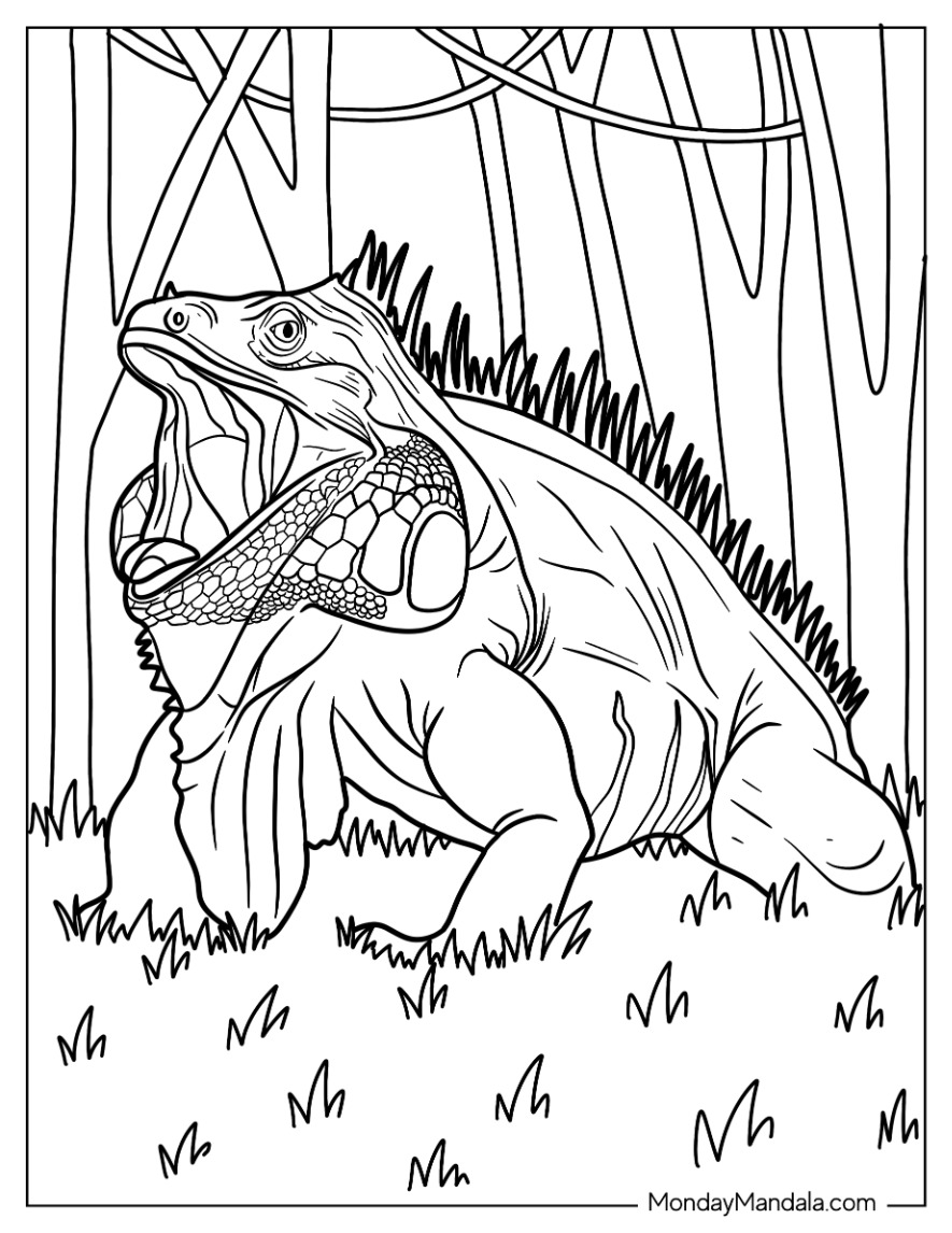 free printable iguana coloring pages for kids jpg