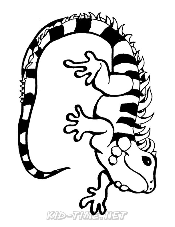 free printable iguana coloring pages for kids jpg