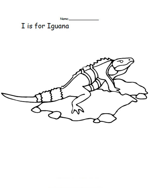 free printable iguana coloring pages for kids jpg