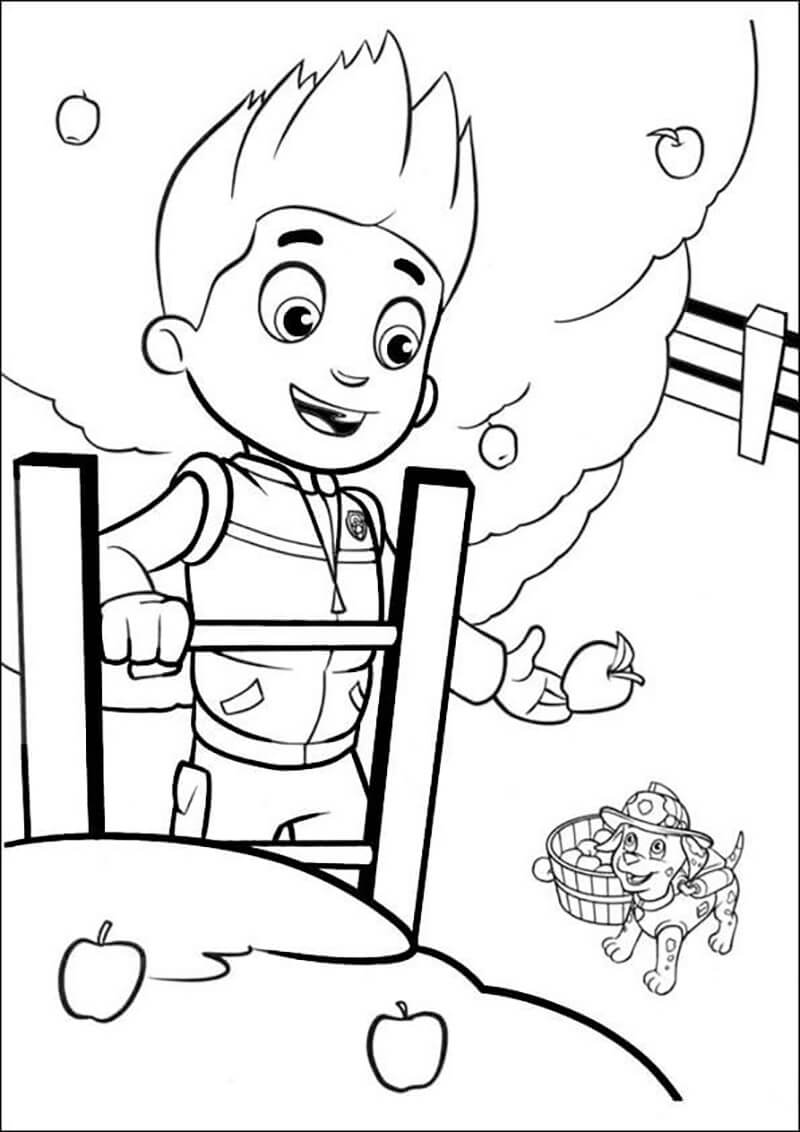 ryder from paw patrol coloring pages printable jpg