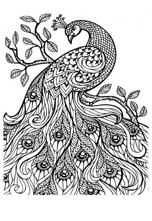 aesthetic coloring pages printable jpg