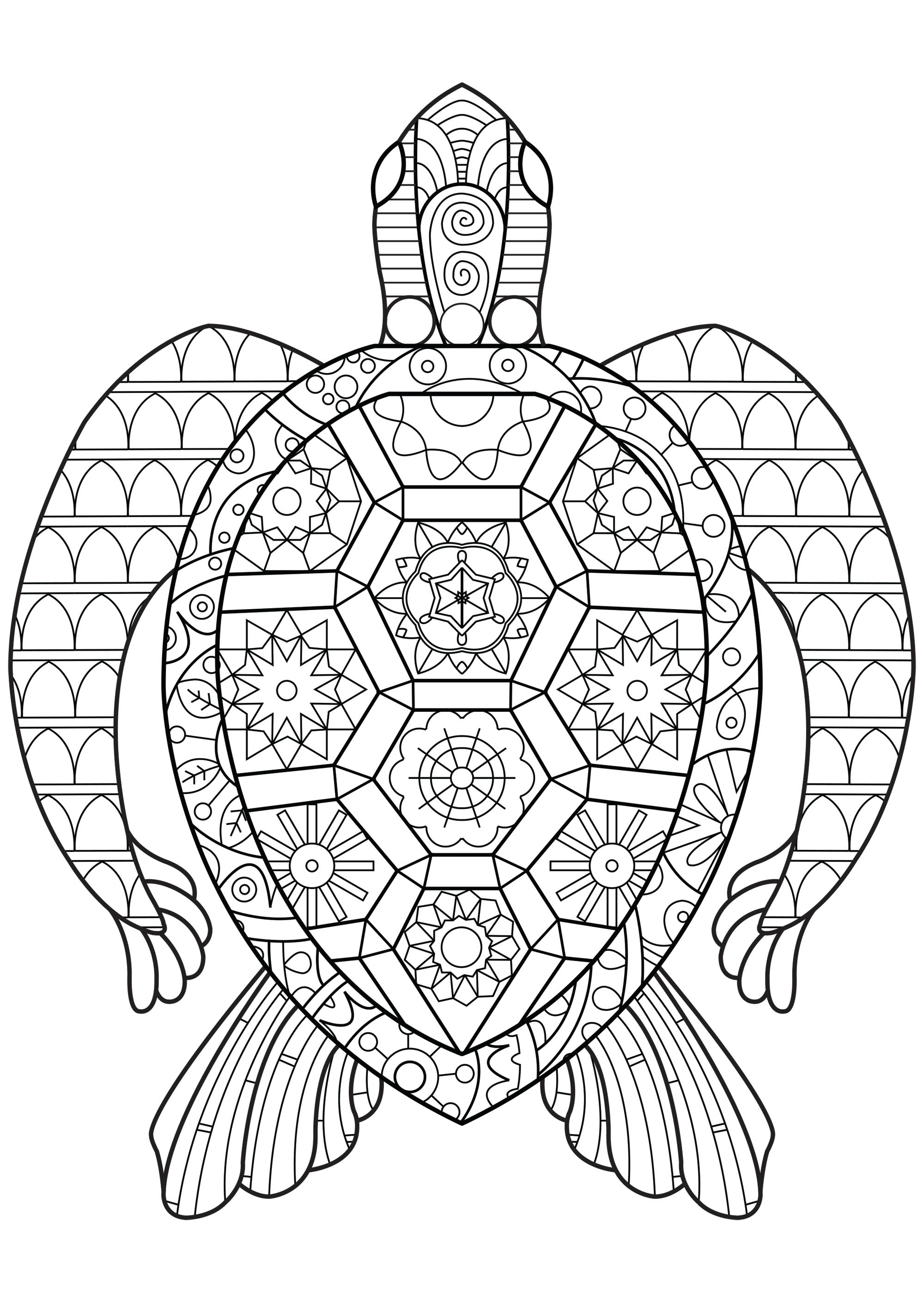 31 Relaxing Turtle Coloring Pages Printable 1