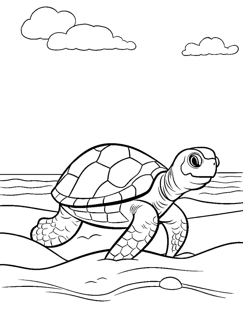 31 Relaxing Turtle Coloring Pages Printable 10