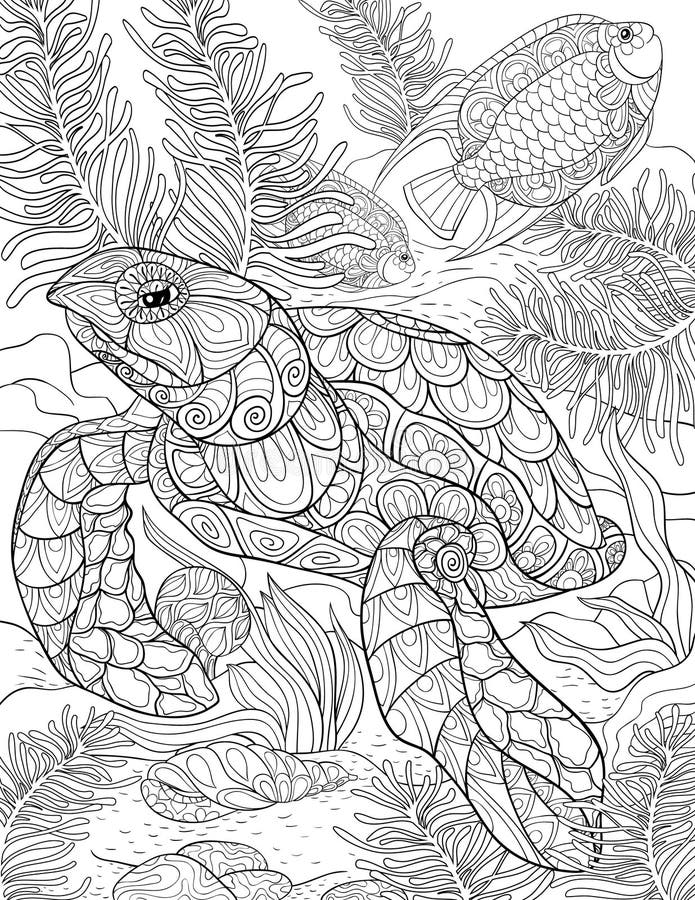 31 Relaxing Turtle Coloring Pages Printable 11