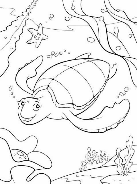 31 Relaxing Turtle Coloring Pages Printable 12