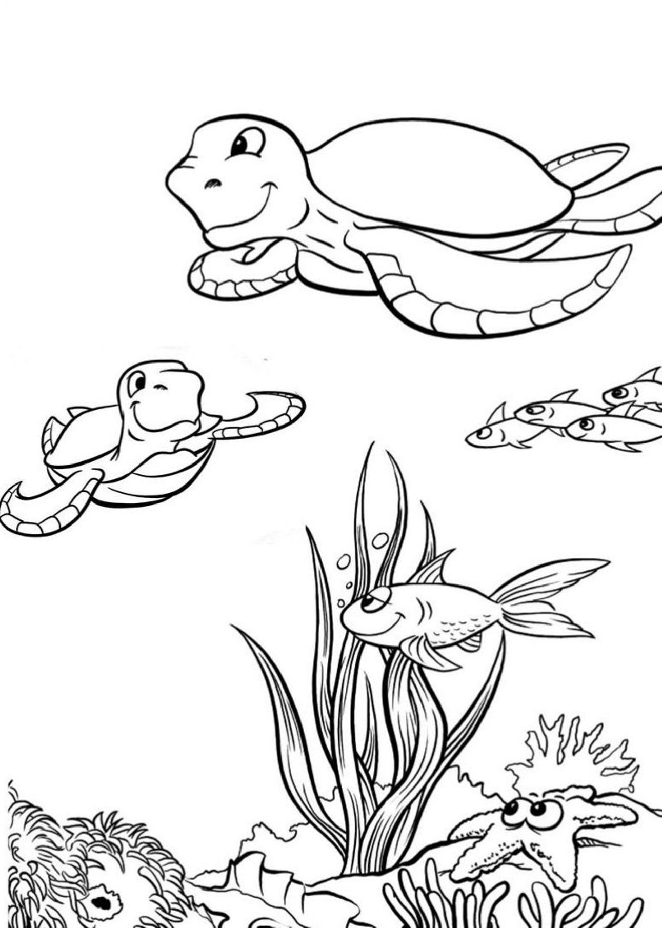 31 Relaxing Turtle Coloring Pages Printable 17