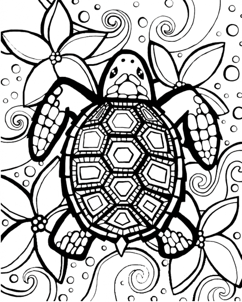 31 Relaxing Turtle Coloring Pages Printable 2