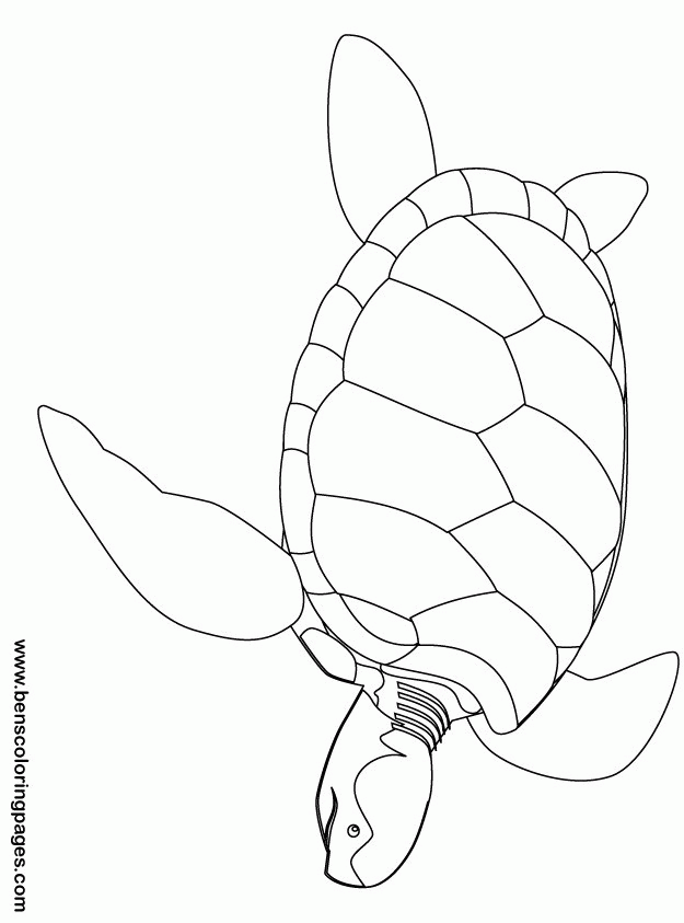 relaxing turtle coloring pages printable jpg