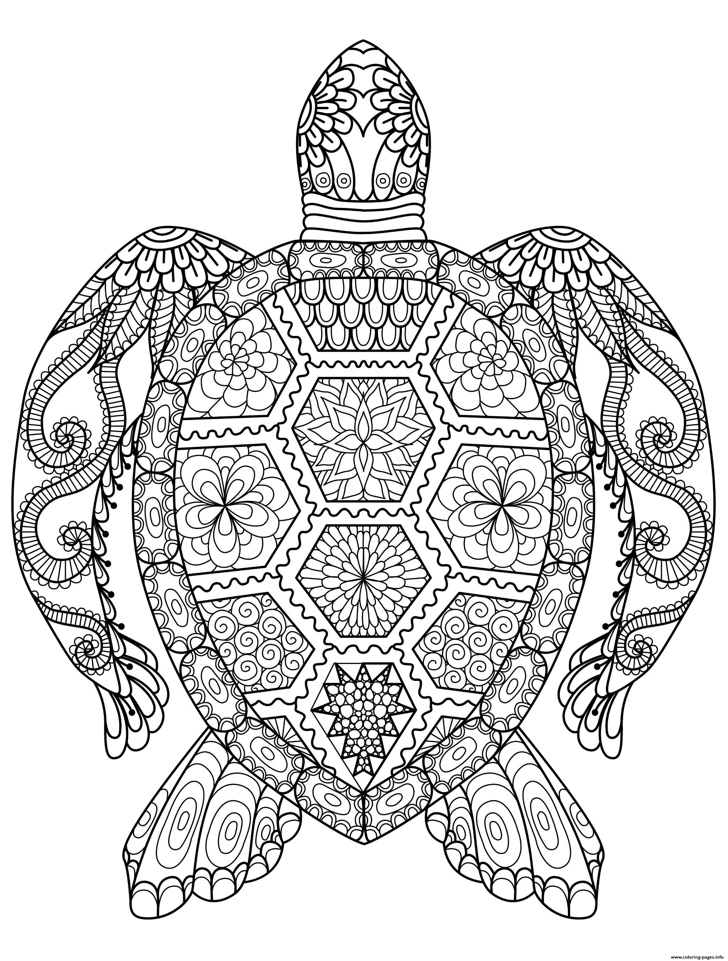 relaxing turtle coloring pages printable jpg