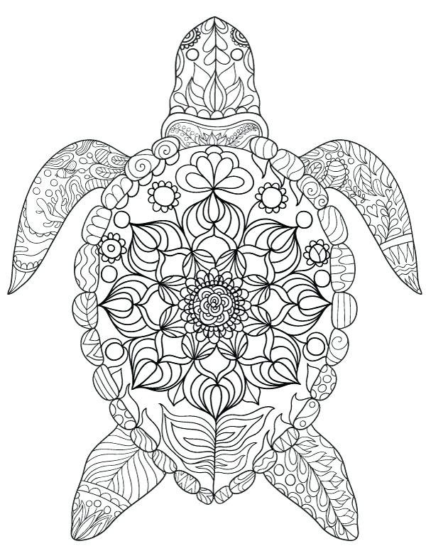 31 Relaxing Turtle Coloring Pages Printable 27