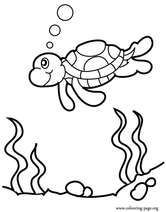 relaxing turtle coloring pages printable jpg