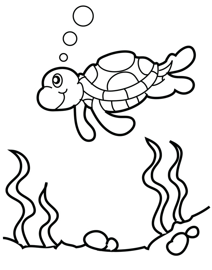 31 Relaxing Turtle Coloring Pages Printable 6