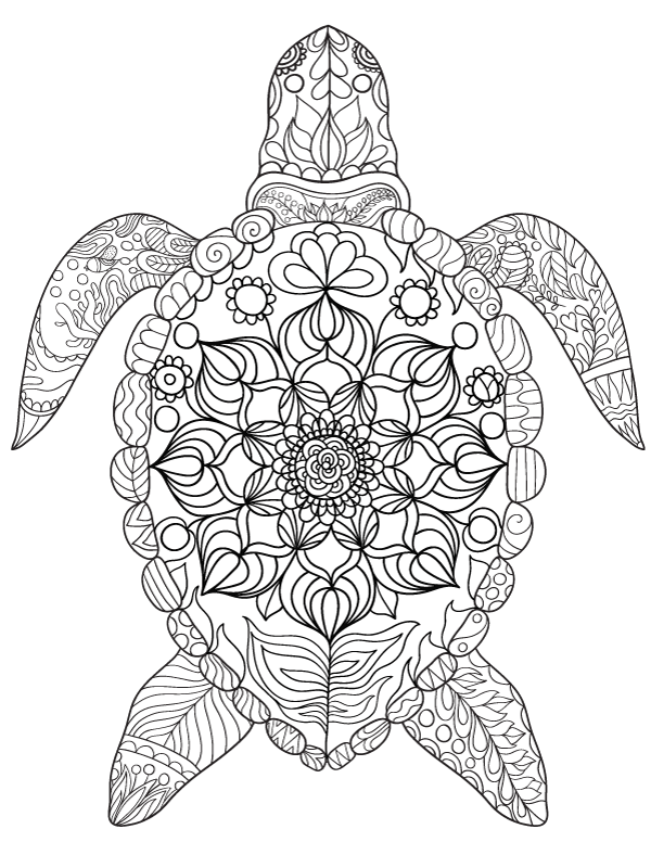 31 Relaxing Turtle Coloring Pages Printable 8