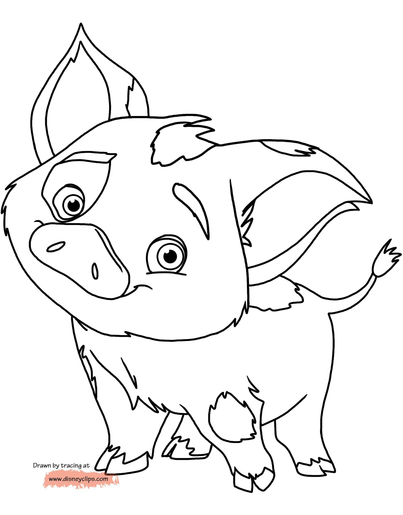 moana coloring pages printable jpg