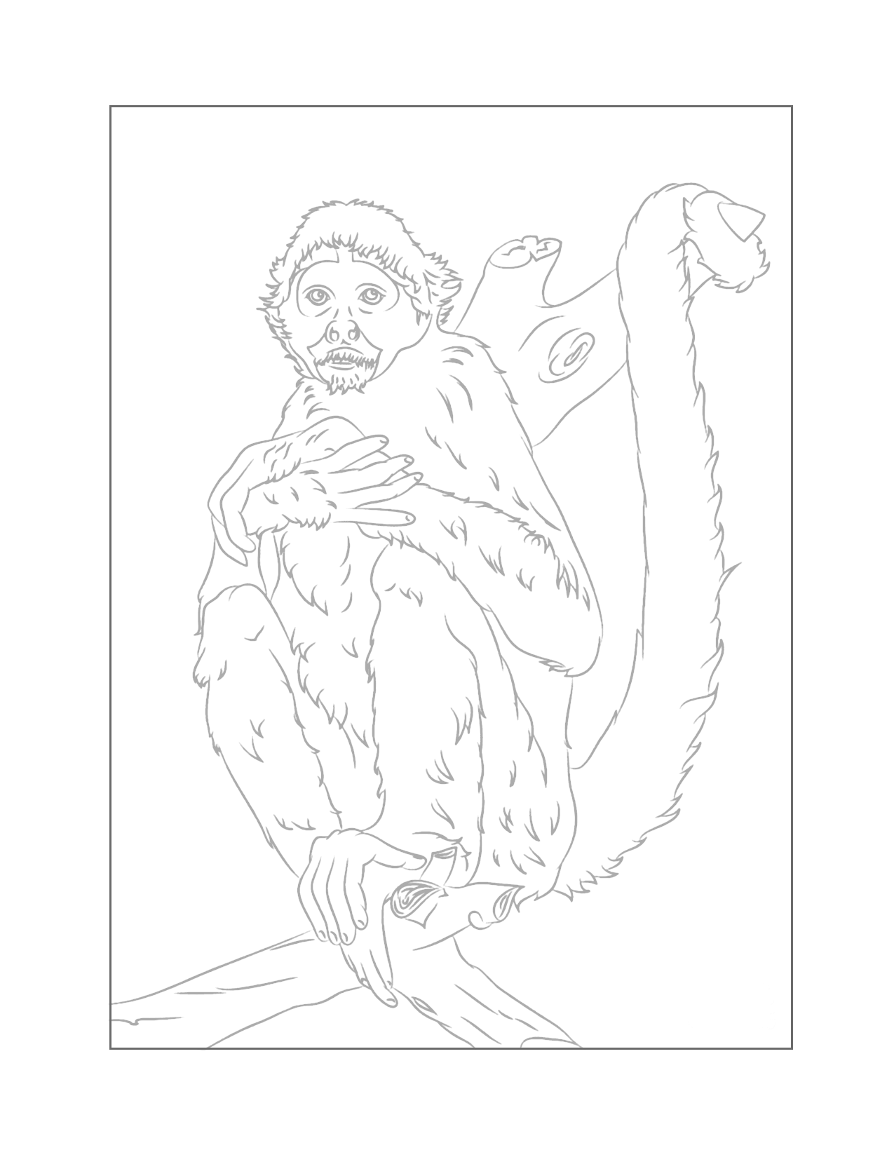 playful monkey coloring pages printable jpg