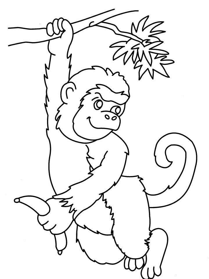 36 Playful Monkey Coloring Pages Printable 2