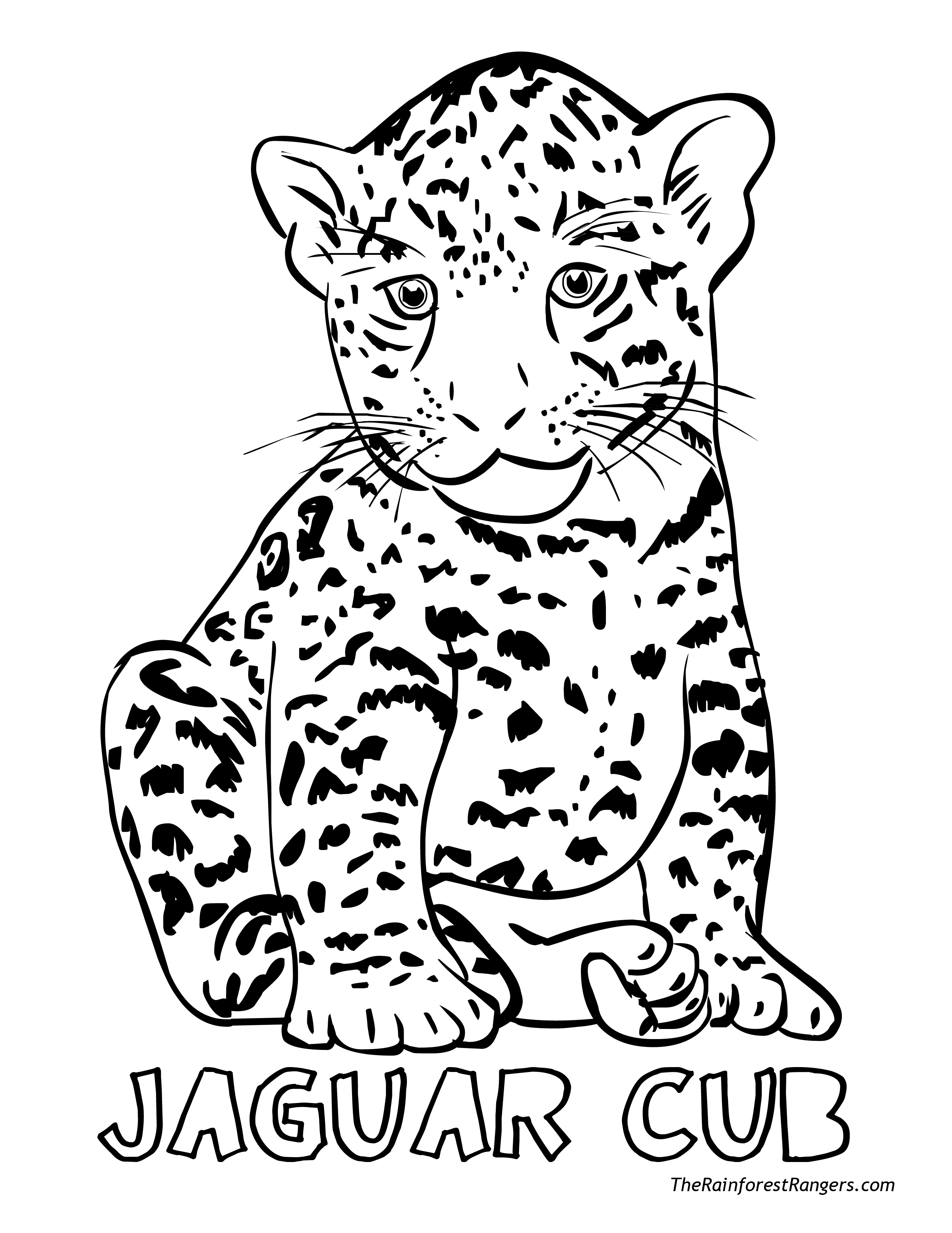 jungle book coloring pages printable jpg