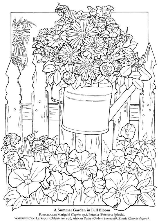 gardening coloring pages printable jpg