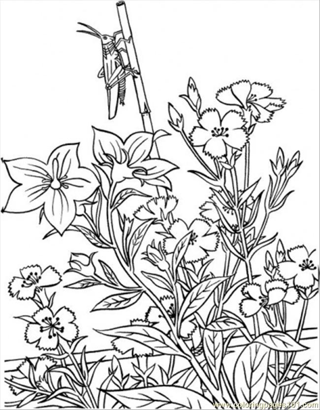 96 Gardening Coloring Pages Printable 4