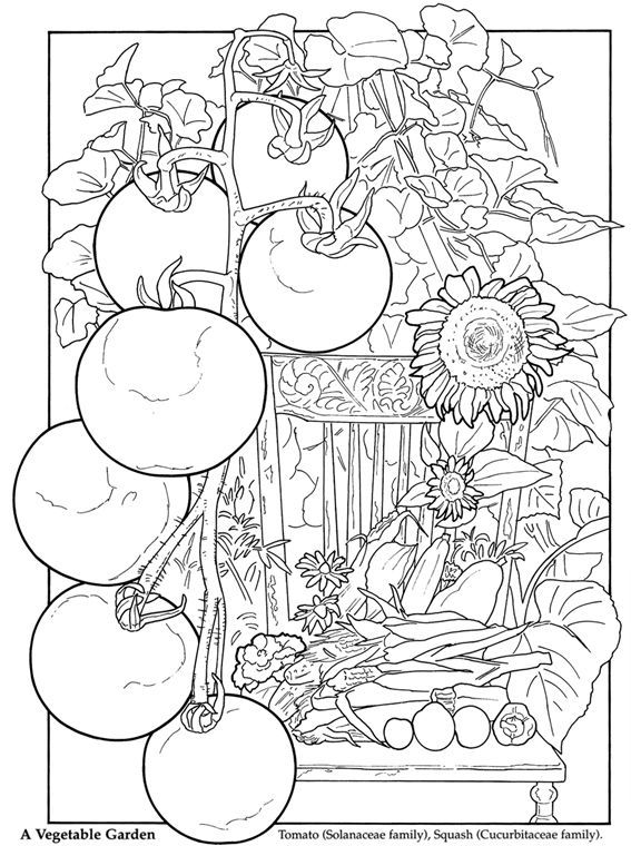 96 Gardening Coloring Pages Printable 54